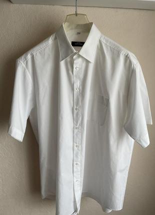 Рубашка мужская с короткими рукавами 583 фото