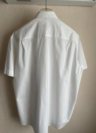 Рубашка мужская с короткими рукавами 585 фото