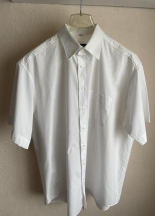 Рубашка мужская с короткими рукавами 586 фото