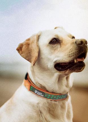 Светоотражающий ошейник для собак tuff hound 1537 orange s с утяжкой (k-310s)4 фото