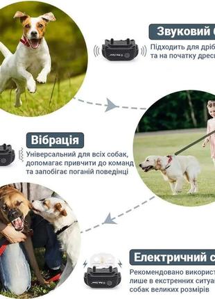Электронный ошейник для дрессировки собак влагозащитный аккумуляторный petainer pet998db до 300 метров ku_225 фото