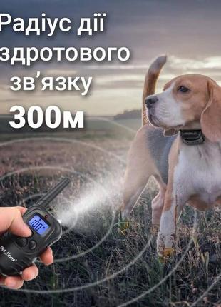Электронный ошейник для дрессировки собак влагозащитный аккумуляторный petainer pet998db до 300 метров ku_226 фото