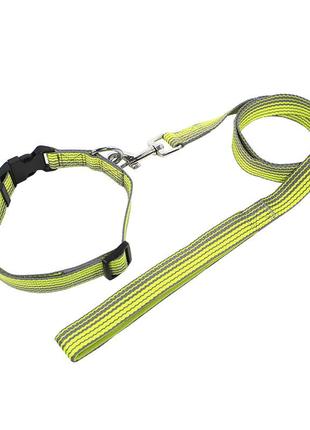 Ошейник для собак tuff hound tc00305 green gray (2.0*38-51) с поводком принтом gold