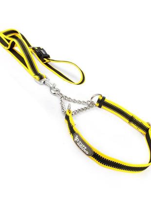 ✅ нашийник зашморг для собак tuff hound tc00104 yellow black s з повідцем gold