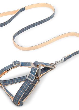 Шлея для собак с поводком pipitao 165510 cage blue 2*120 cm (gold_8917-35874)