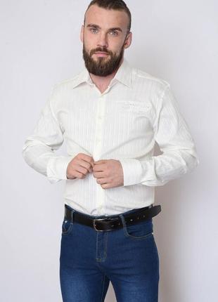 Сорочка чоловіча молочна в смужку 151447l