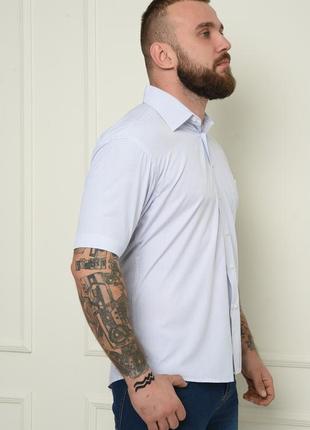 Рубашка мужская светло-сиреневая 151256l gl_552 фото