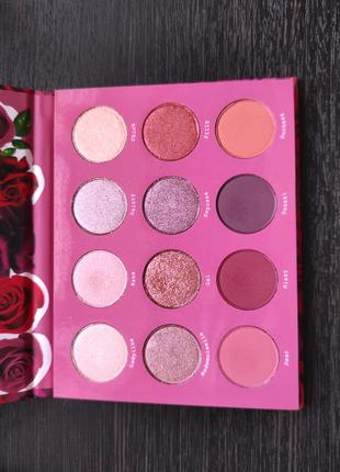 Colourpop she fem rosa2 фото