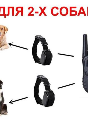 Электроошейник для собак с 2-мя ошейниками petainer  pet998db-2, аккумуляторные, для дрессировки 2-х собак2 фото
