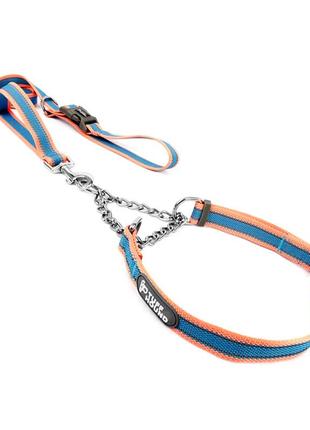 Ошейник удавка для собак tuff hound tc00106 pink blue l с поводком  dream