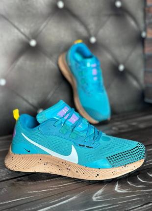 Лазурні чоловічі кроси кросівки nike pegasus