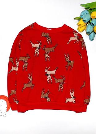 Кофта, свитшот h&m 4-6 лет