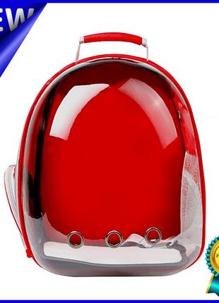 ✅ рюкзак-переноска для кішок taotaopets 253304 panoramic red 35*25*42cm з ілюмінатором gold