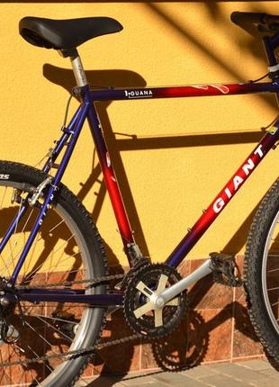 Giant iguana mountain bike price hotsell
