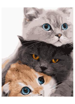 Картина за номерами три котика, 40х50 см «strateg» (va-2834)