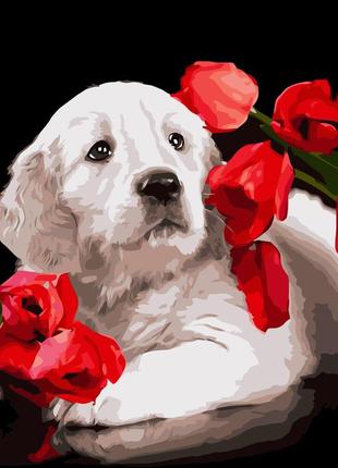 Картина за номерами strateg преміум песик в маках з лаком та рівнем розміром 40х50 см va-3611 «strateg»