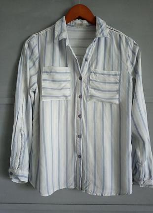 Актуальна сорочка в смужку. смужка . жіноча сорочка. блуза