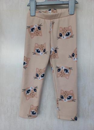 Утеплені легенси, лосини з начосом