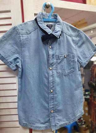 Сорочка бавовна з метеликом kiabi