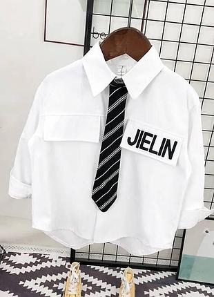 Рубашка + галстук