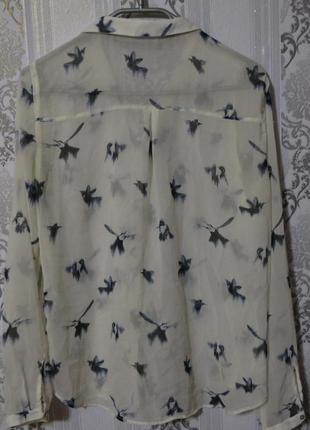 Красивая шифоновая блуза в колибри zara размер л2 фото