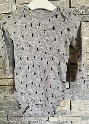 Бодик бодиков боди