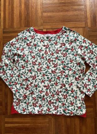 Світшот реглан isle essential m (14-16) шотландія