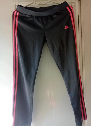 Dhgate adidas pants new arrivals