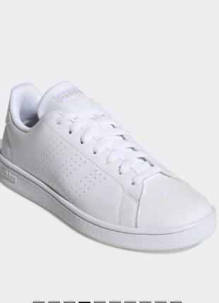 Кроссовки adidas advantage base1 фото