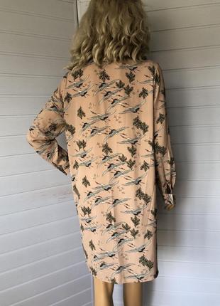 Сукня сорочка 5