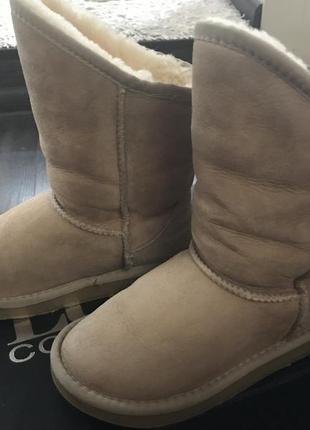 Сапоги ugg australia luxe