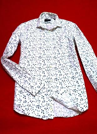 Moss london чоловіча сорочка в ляпки.