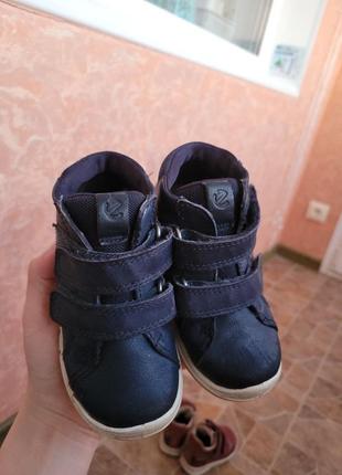 Ботинки легкие кроссовки