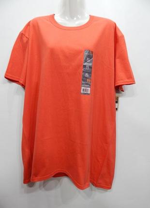 Футболка жіноча трикотажна goldtoe 56-58 р. 113фн (тільки в зазначеному розмірі, тільки 1 шт.)