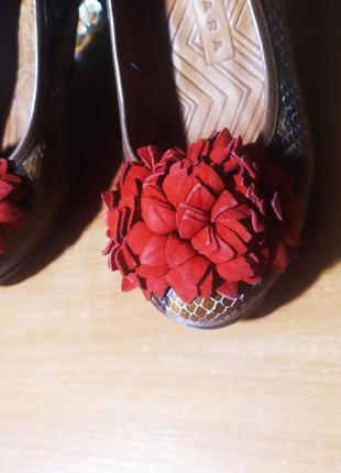 Мега-классные эксклюзивные туфли каблук платформа chie mihara испания натуральная кожа змеиный принт4 фото
