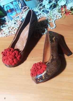 Мегакласні ексклюзивні туфлі каблук платформа chie mihara іспанія натуральна шкіра зміїнний принт