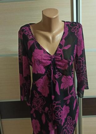 Туніка joanna hope