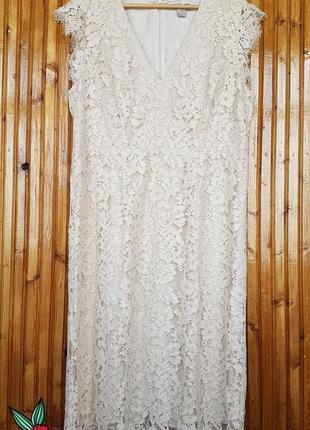 Шикарное нюдовое вечернее кружевное платье миди h&m.3 фото