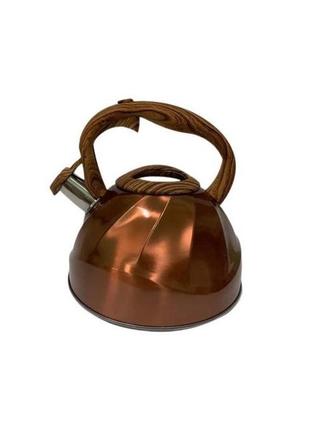 Чайник зі свистком мідний кон v 3 л