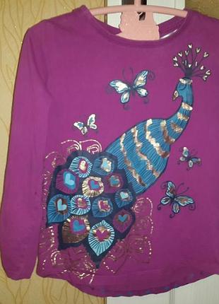 Ошатний реглан дівчинці