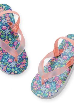 Вʼєтнамки картерс