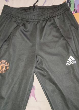 Футбольные, спортивные штаны adidas fc manchester united3 фото