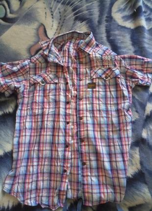 Модна стильна сорочка