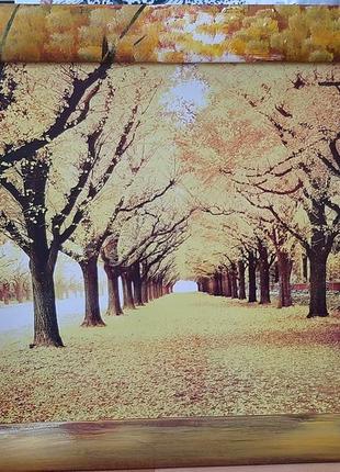Фото-картина, масло  "осінь в софіївці"7 фото