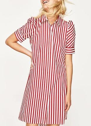 Біло червона смугаста сукня сорочка жіноча zara, розмір м2 фото