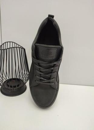 Кеди 5