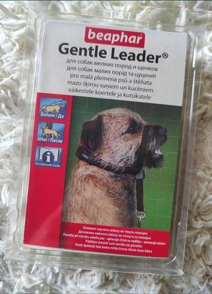 Ошейник уздечка, для собак мелких пород. ошейник для щенков