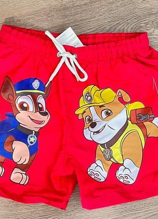 Плавки paw patrol (щенячий патруль)