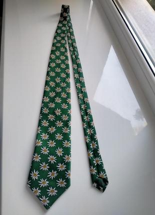 Краватка едельвейс білотка