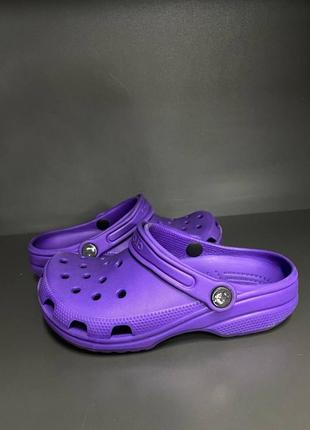 Сланцы crocs1 фото